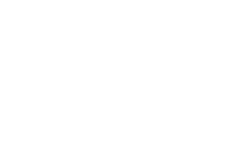 lm-logo-white